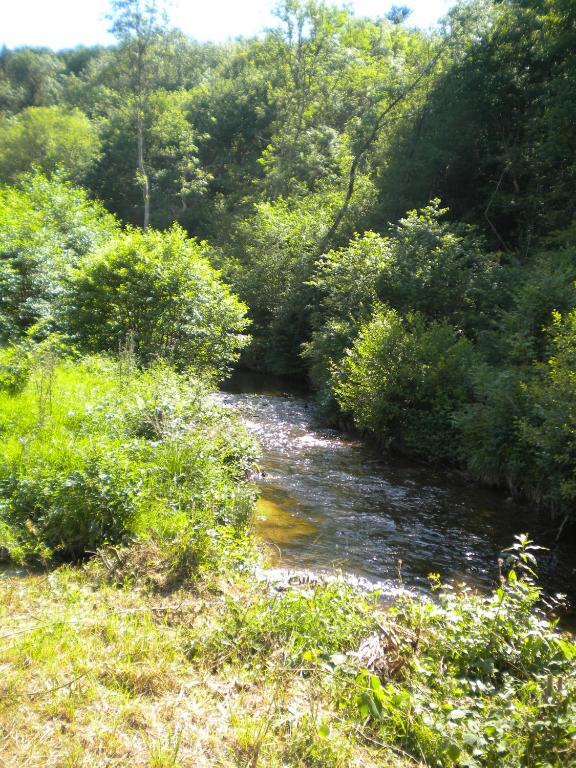 Tente de luxe Le Moulin Gitenay - Gite 3*