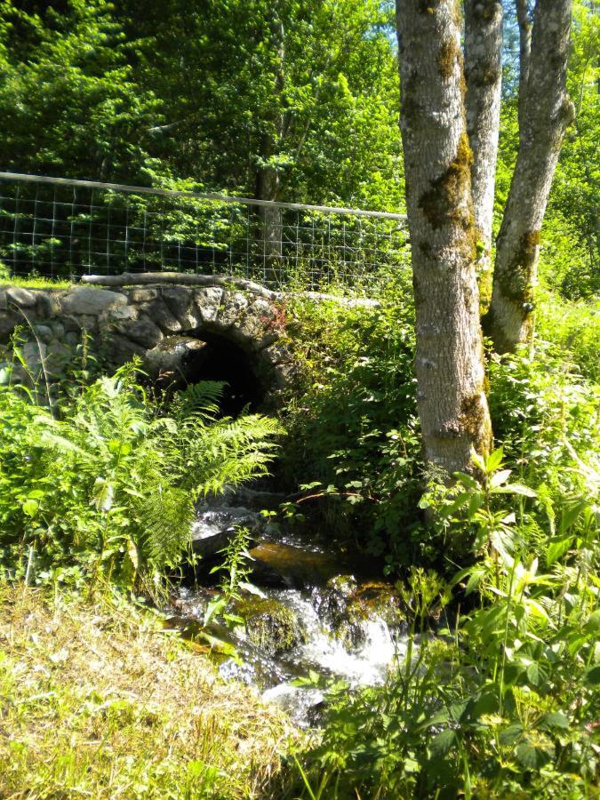 Le Moulin Gitenay - Gite Clermont-Ferrand