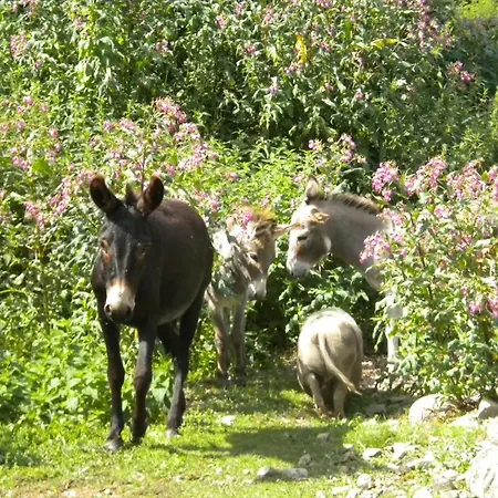 Tente de luxe Le Moulin Gitenay - Gite 3*