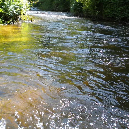 Le Moulin Gitenay - Gite