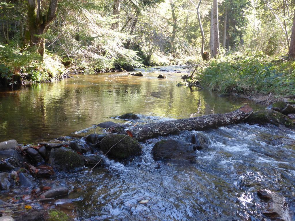 Le Moulin Gitenay - Gite Clermont-Ferrand