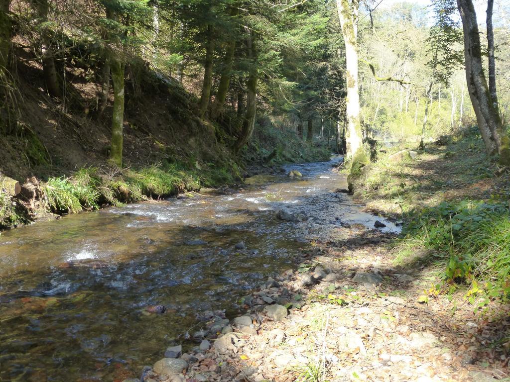 Luxury tent Le Moulin Gitenay - Gite
