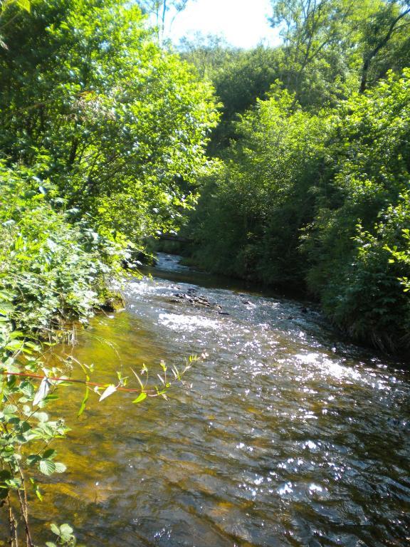 Luxury tent Le Moulin Gitenay - Gite 3*