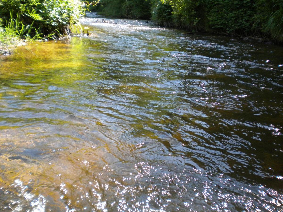 Le Moulin Gitenay - Gite